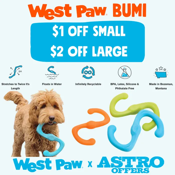 Promotion Image