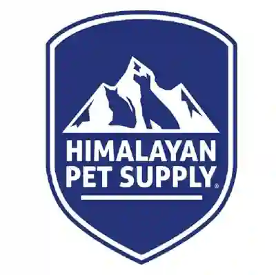 Image Alternative Text