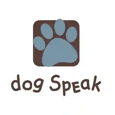 Image Alternative Text